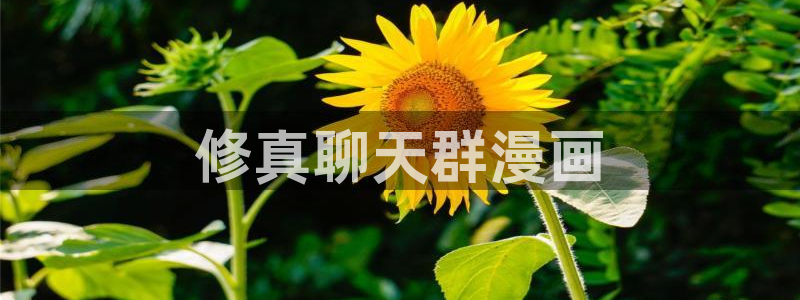 汗汗漫画在线观看免费