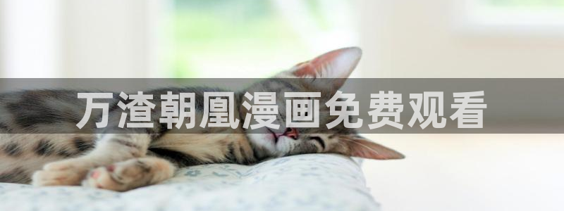 汗汗漫画羞羞首页入口在线免费阅读漫画
